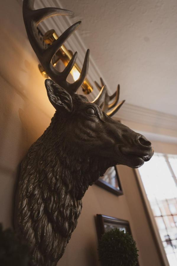 The Stag Hotel And Mailmans Arms リンドハースト エクステリア 写真